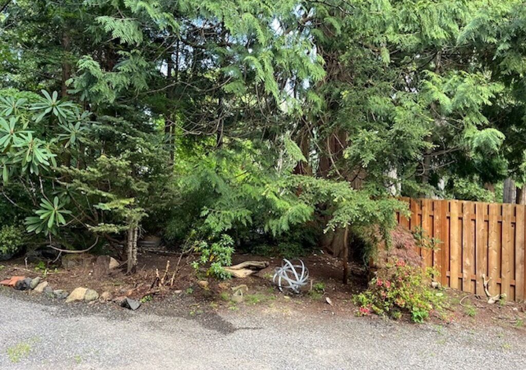 Photo of Others in Port Ludlow