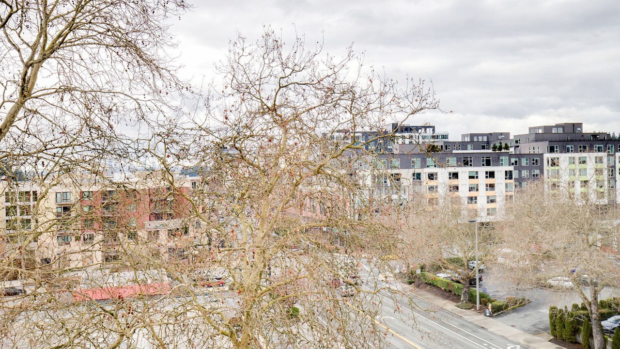 Photo of Others in West Bellevue