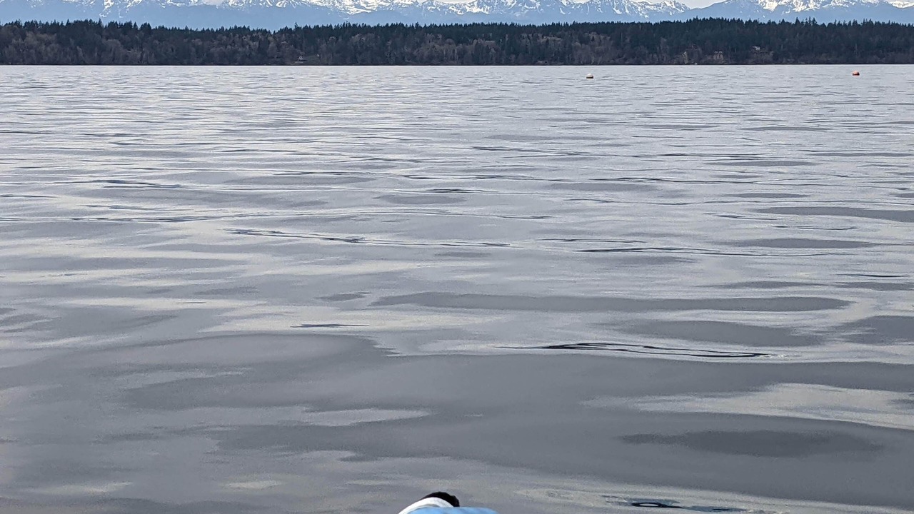 Photo of Others in Lakebay