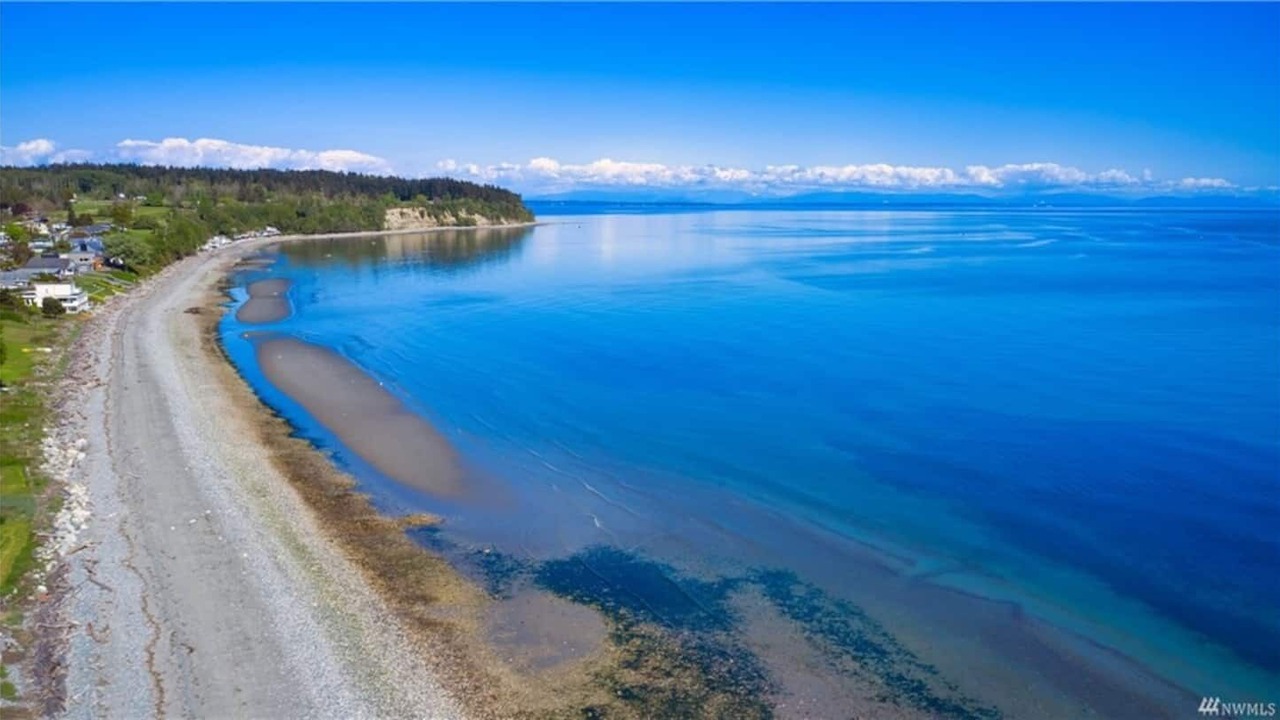 Photo of Others in Point Roberts