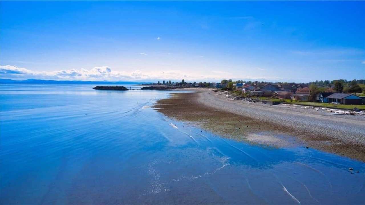 Photo of Others in Point Roberts