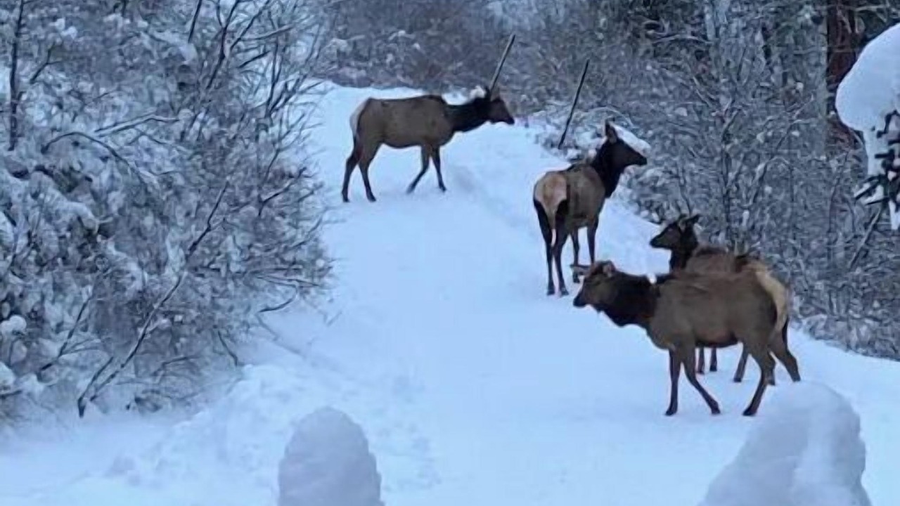 Photo of Others in Naches