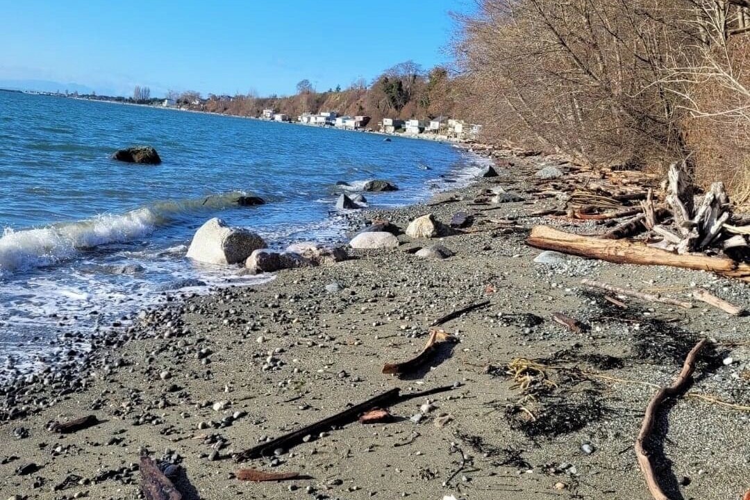 Photo of Others in Point Roberts