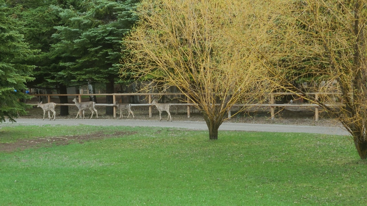 Photo of Outdoor in Irwin