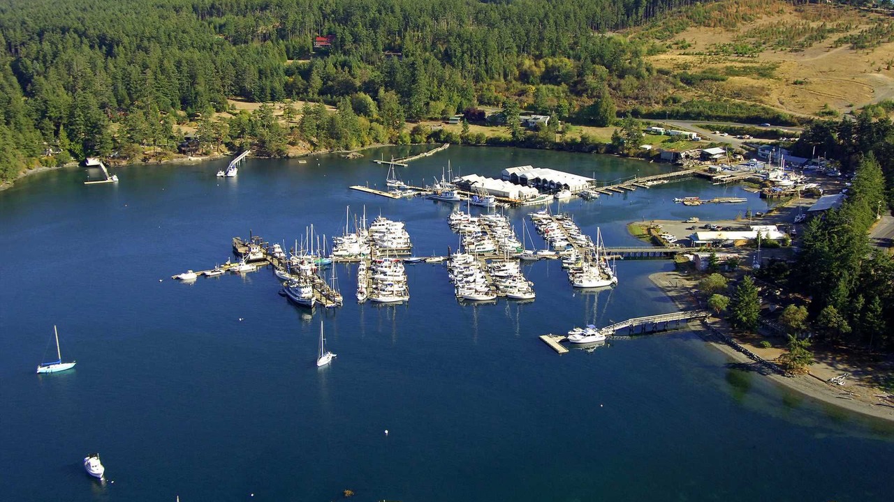 Photo of Others in Friday Harbor
