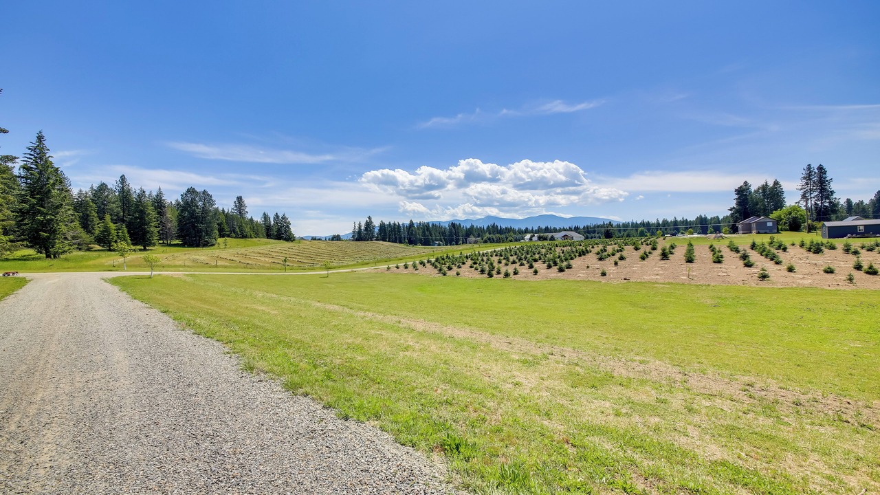 Photo of Others in Bonners Ferry