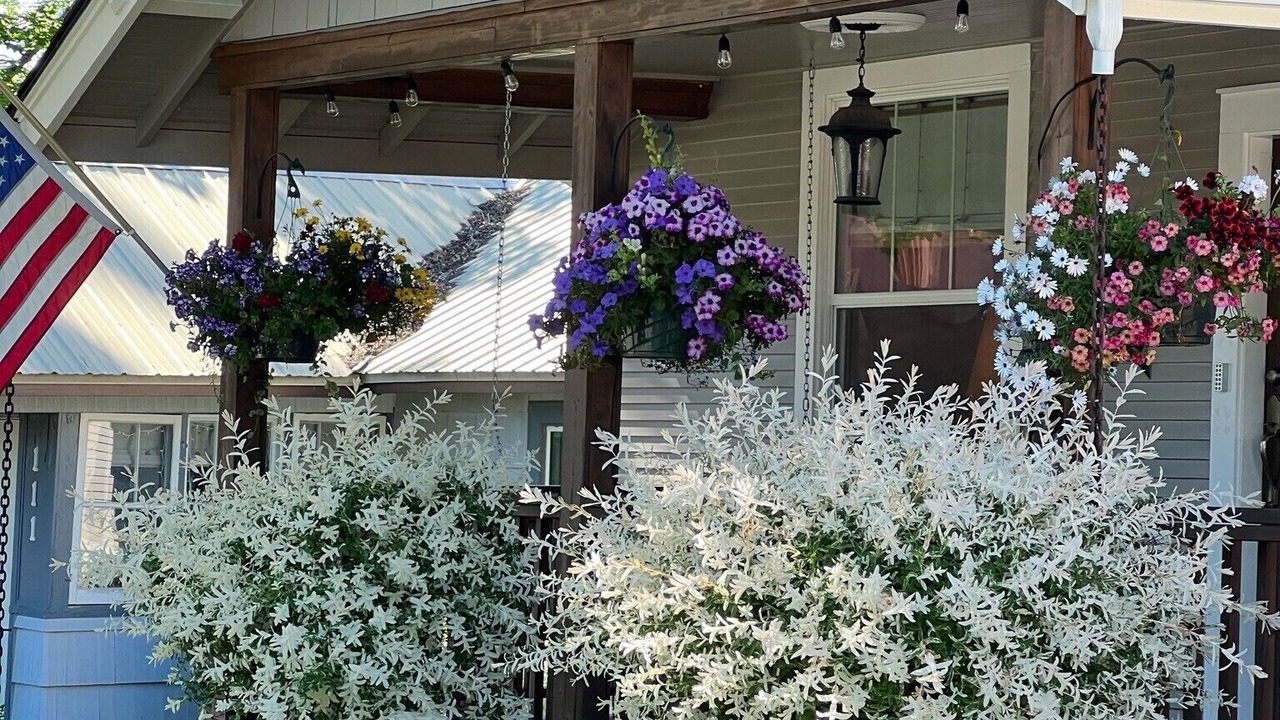 Photo of Others in Coeur d'Alene