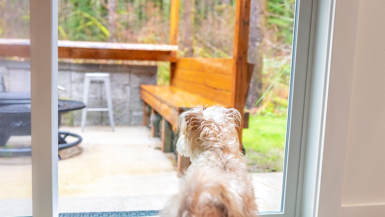 Photo of Others in Washougal