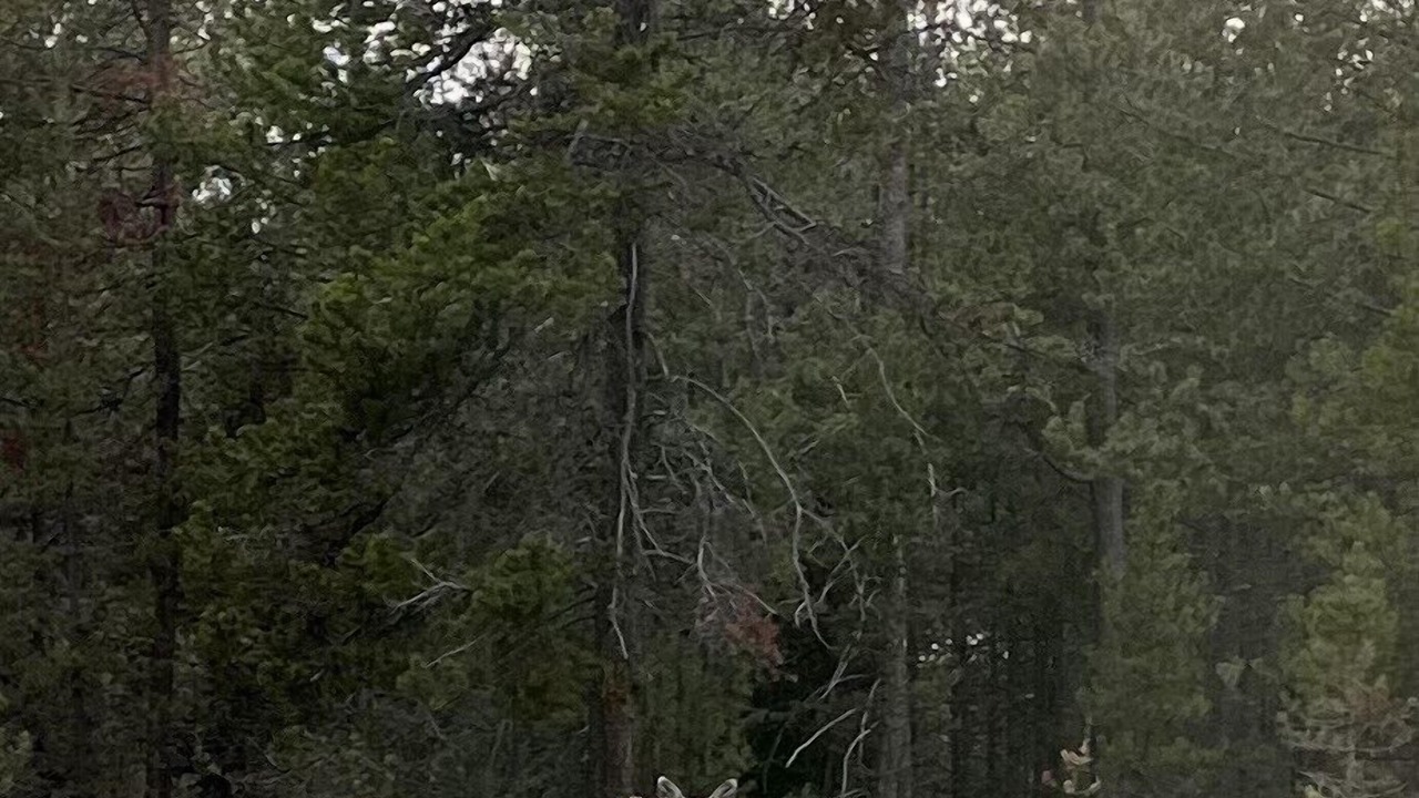 Photo of Outdoor in Three Rivers