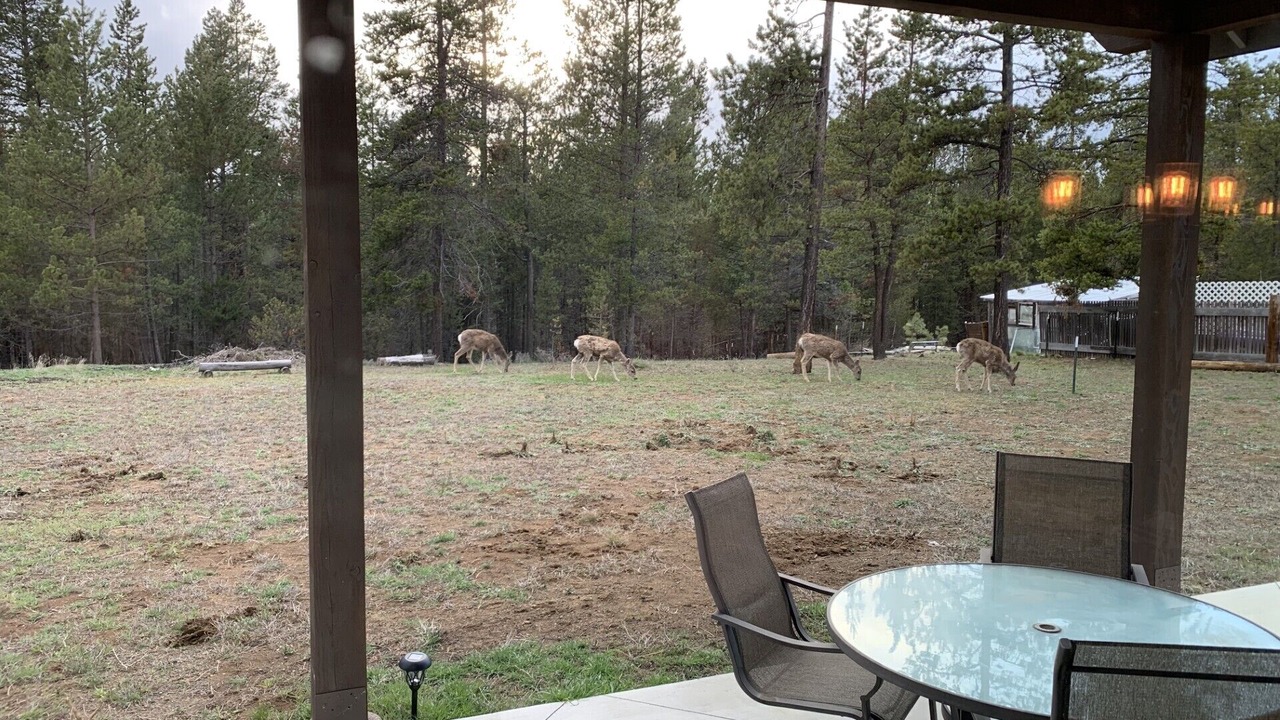 Photo of Outdoor in Three Rivers