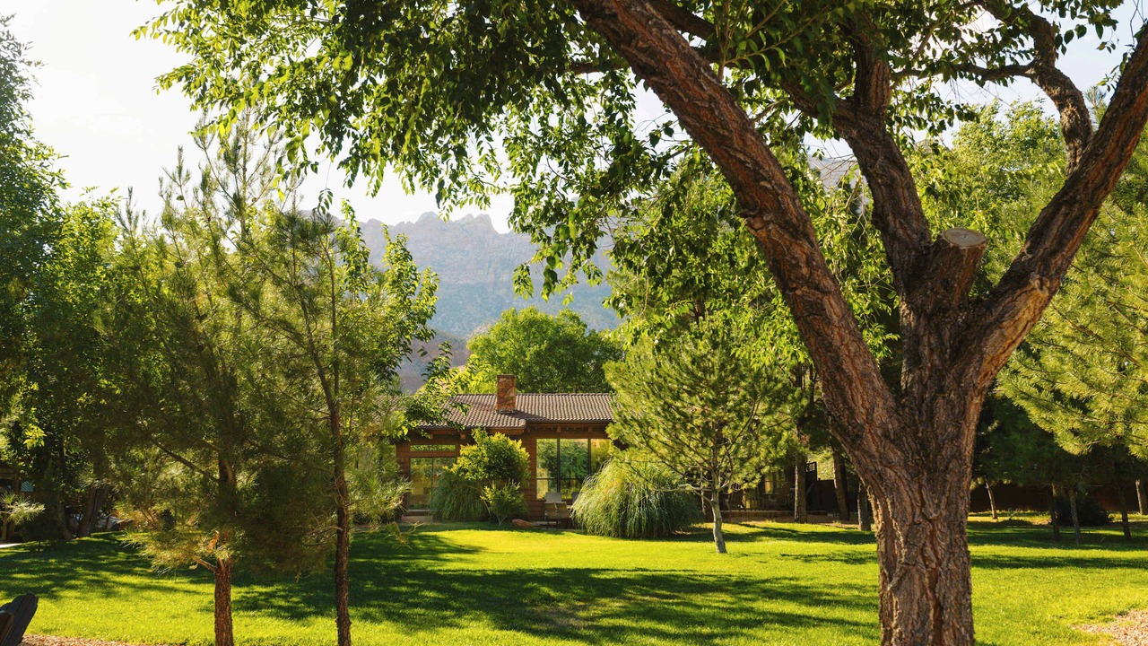 Photo of Outdoor in Zion National Park South Entrance
