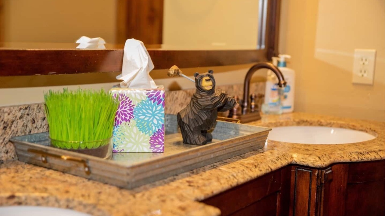 Photo of Bathroom in Driggs