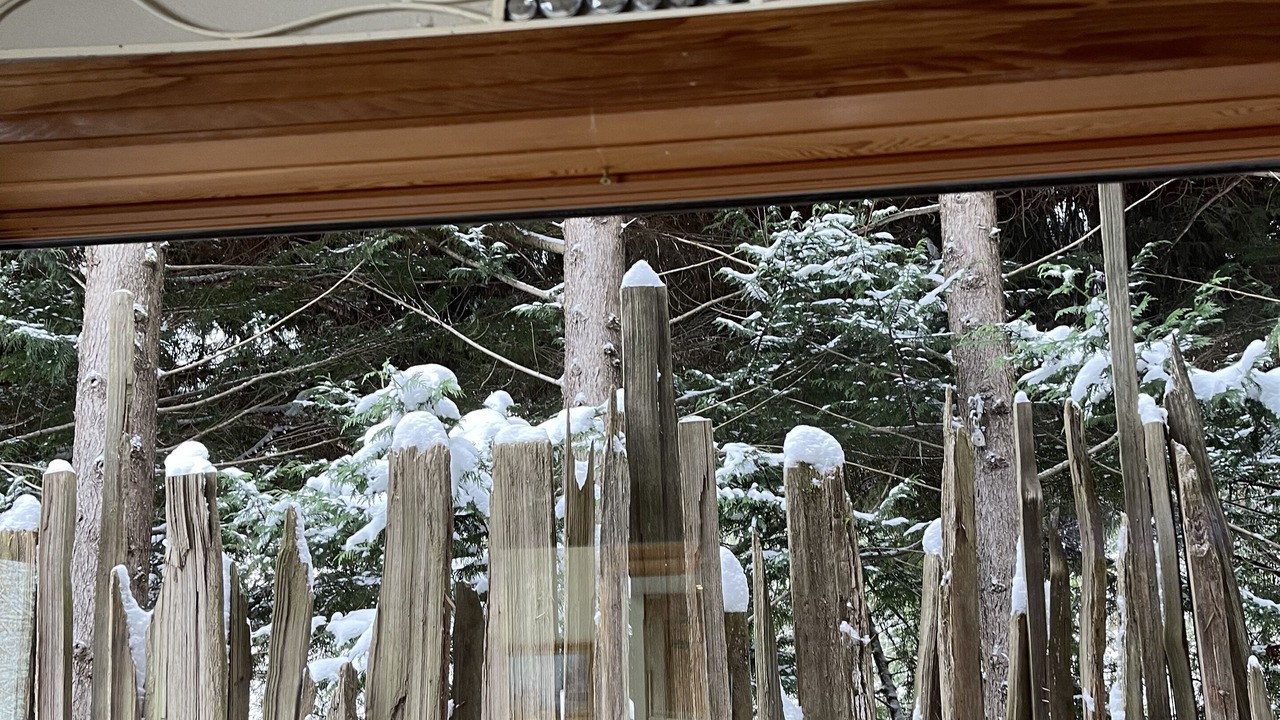 Photo of Outdoor in Arlington