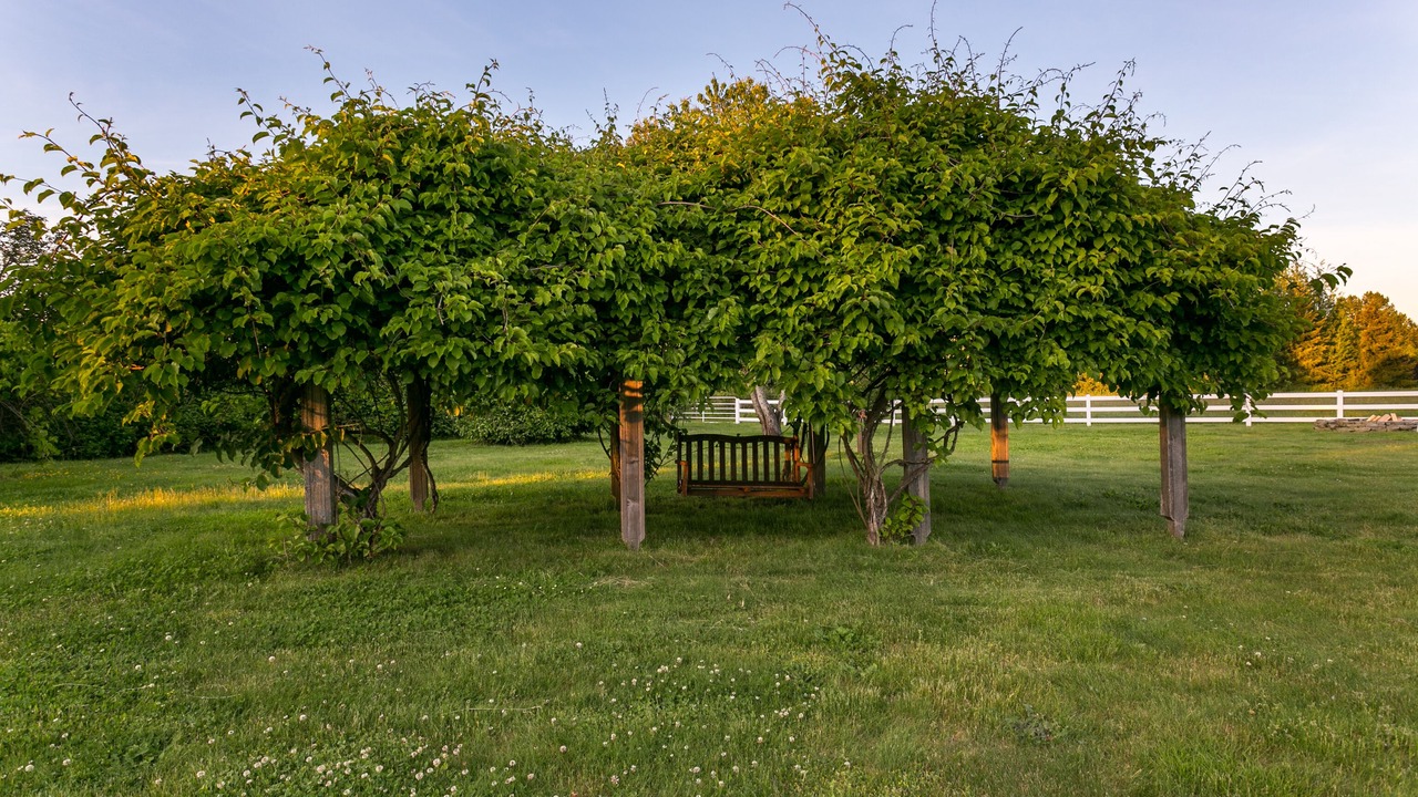 Photo of Outdoor in Bellingham