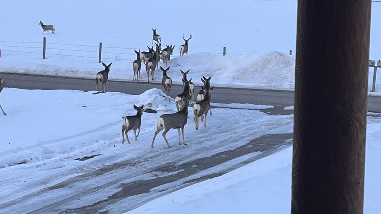 Photo of Others in Driggs
