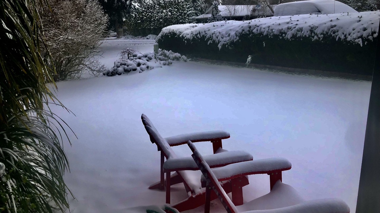 Photo of Outdoor in Port Townsend