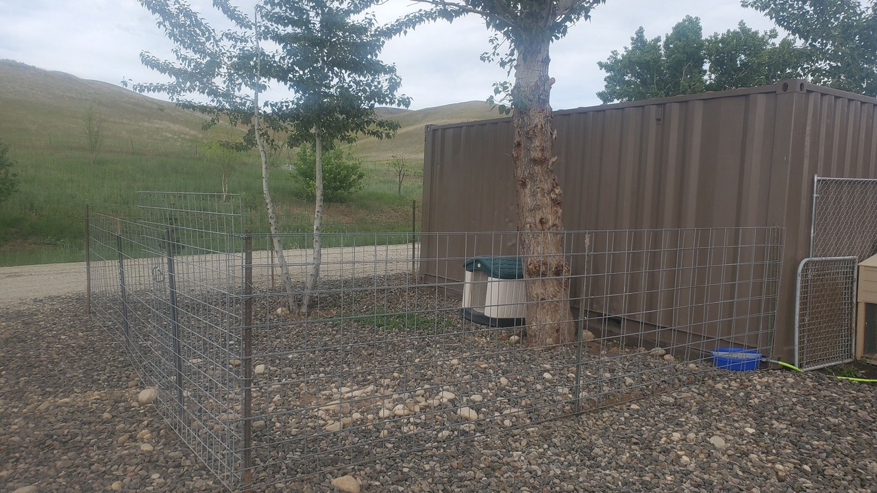 Photo of Outdoor in Sweet