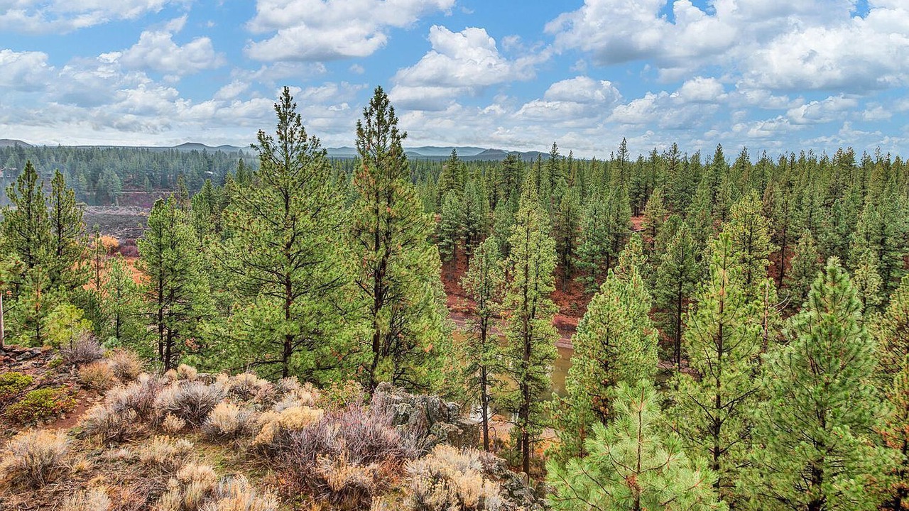 Photo of Others in Bend