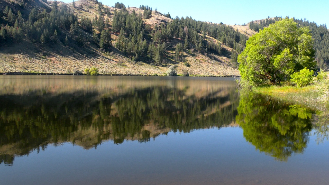 Photo of Outdoor in Tonasket