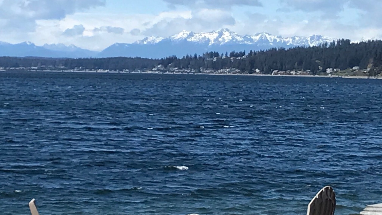 Photo of Others in Gig Harbor