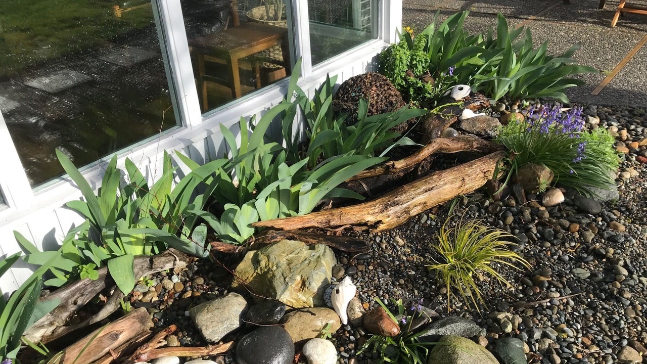 Photo of Outdoor in Gig Harbor