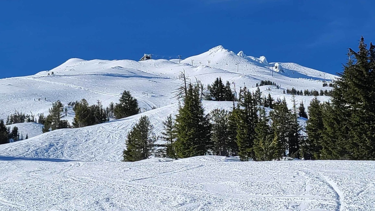 Photo of Others in Bend