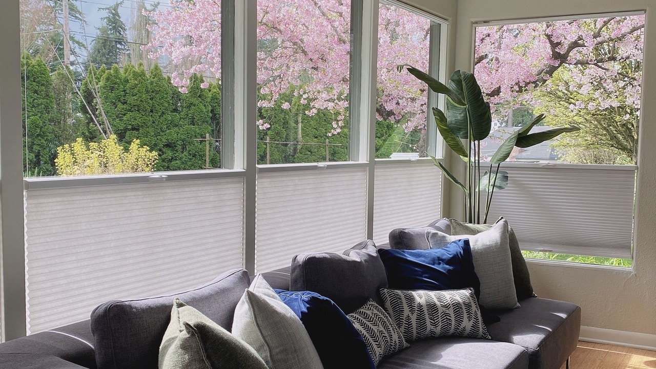 Photo of Livingroom in Raleigh Hills