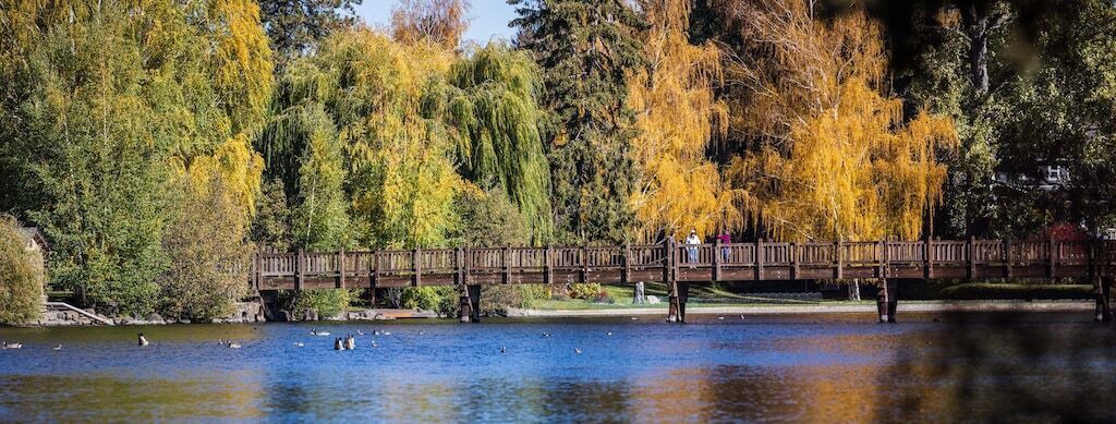 Photo of Others in Deschutes River Woods