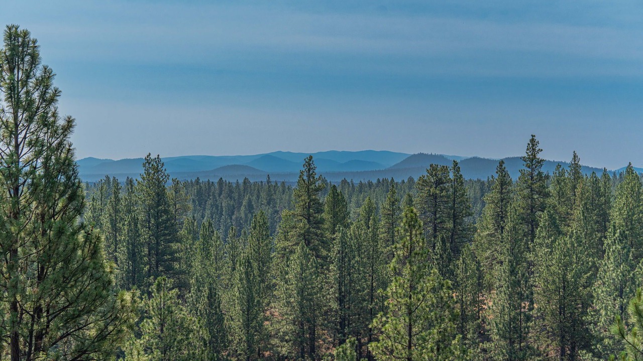 Photo of Others in Bend