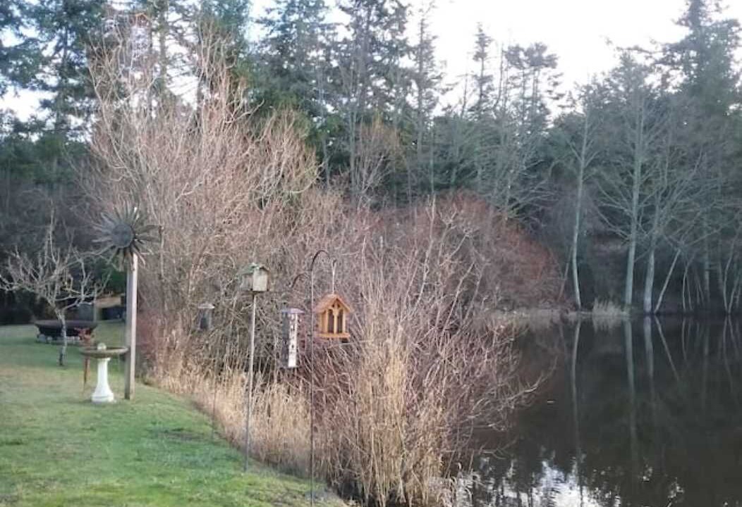 Photo of Outdoor in Friday Harbor