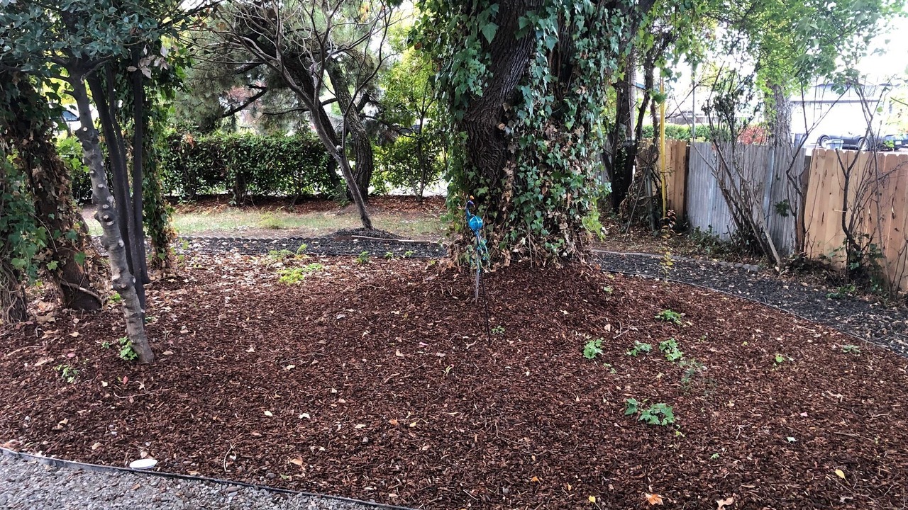 Photo of Outdoor in Medford