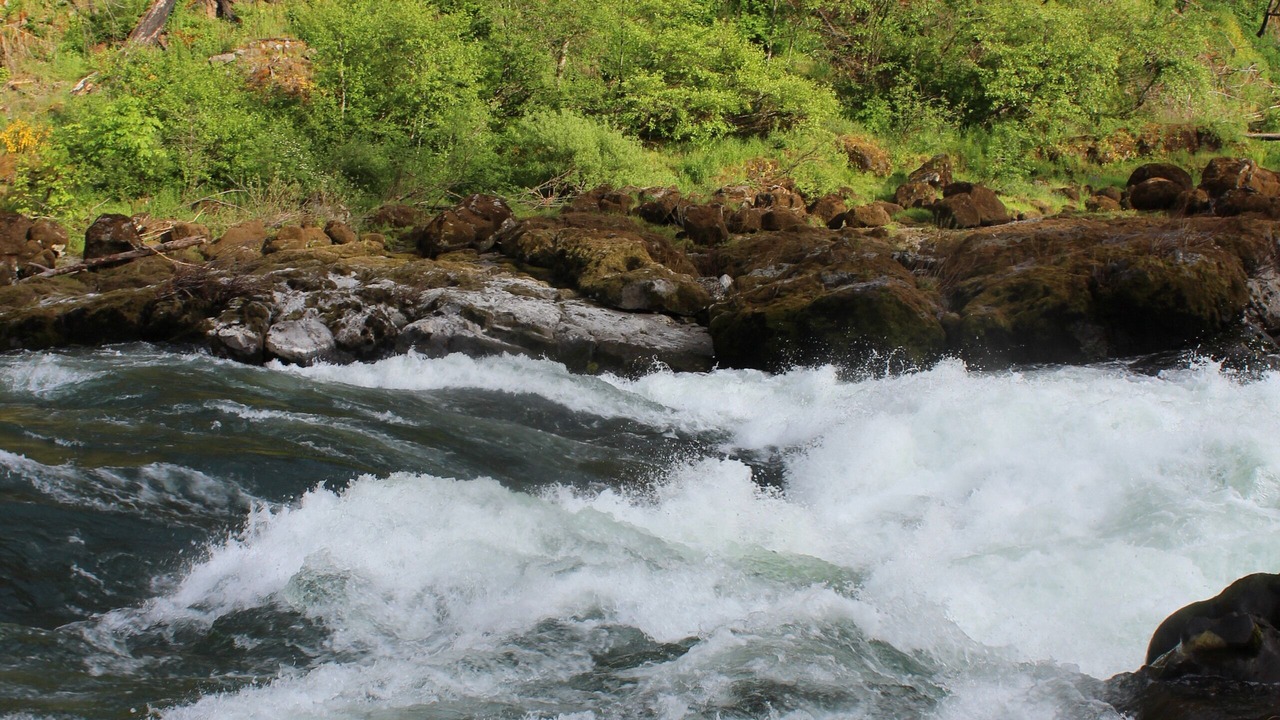 Photo of Outdoor in Roseburg