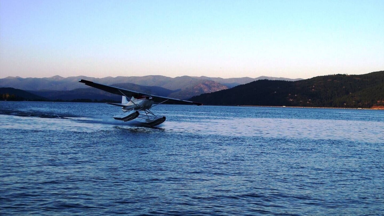 Photo of Others in Dover Bay