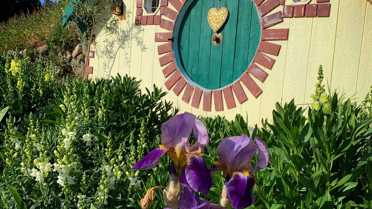 Photo of Outdoor in Rollingbay