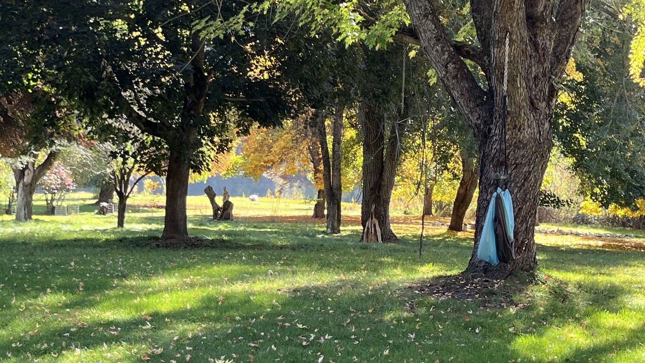 Photo of Outdoor in Elk