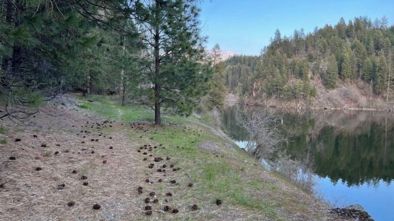 Photo of Others in Elk