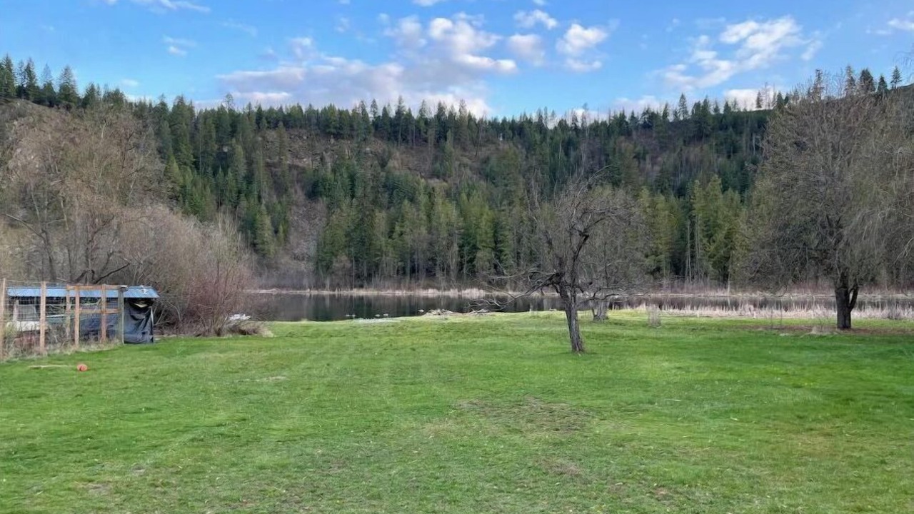 Photo of Outdoor in Elk