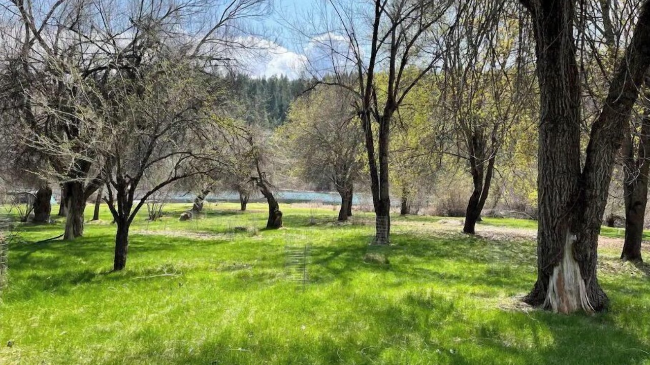 Photo of Others in Elk