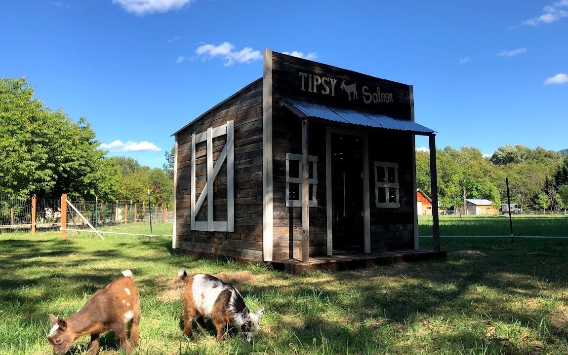 Photo of Others in Murphy