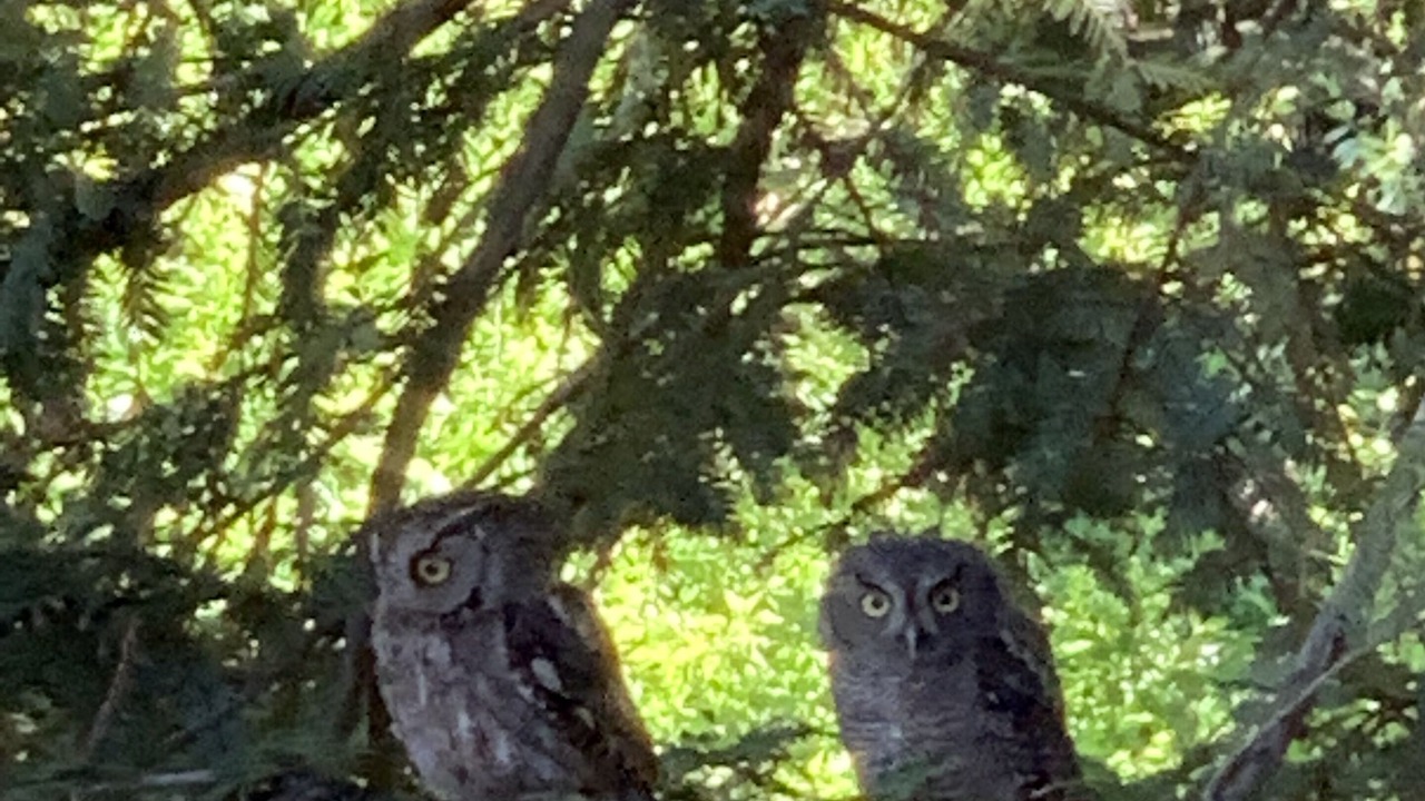 Photo of Outdoor in Ashland