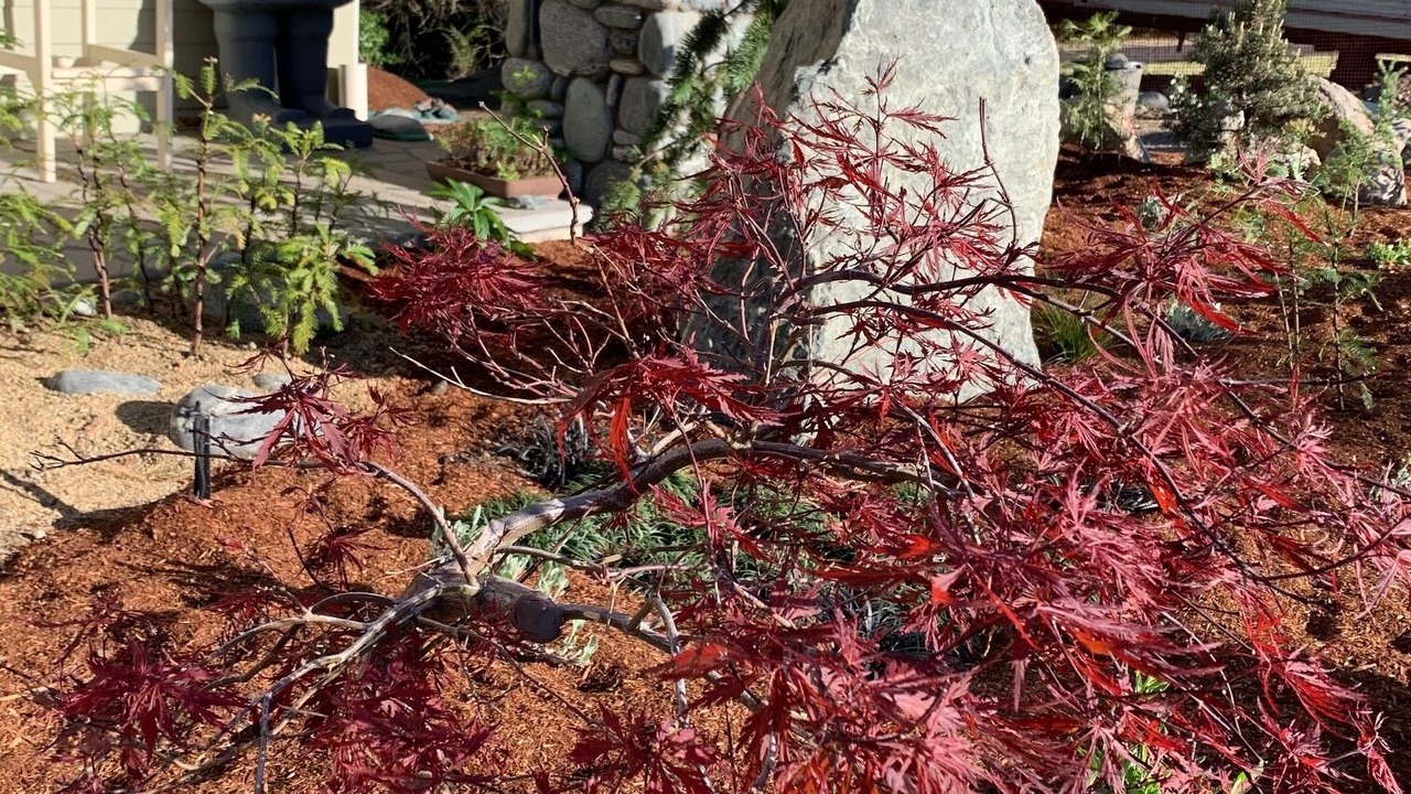 Photo of Outdoor in Ashland