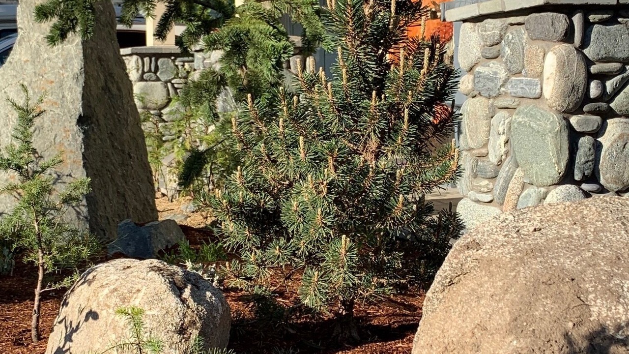 Photo of Outdoor in Ashland