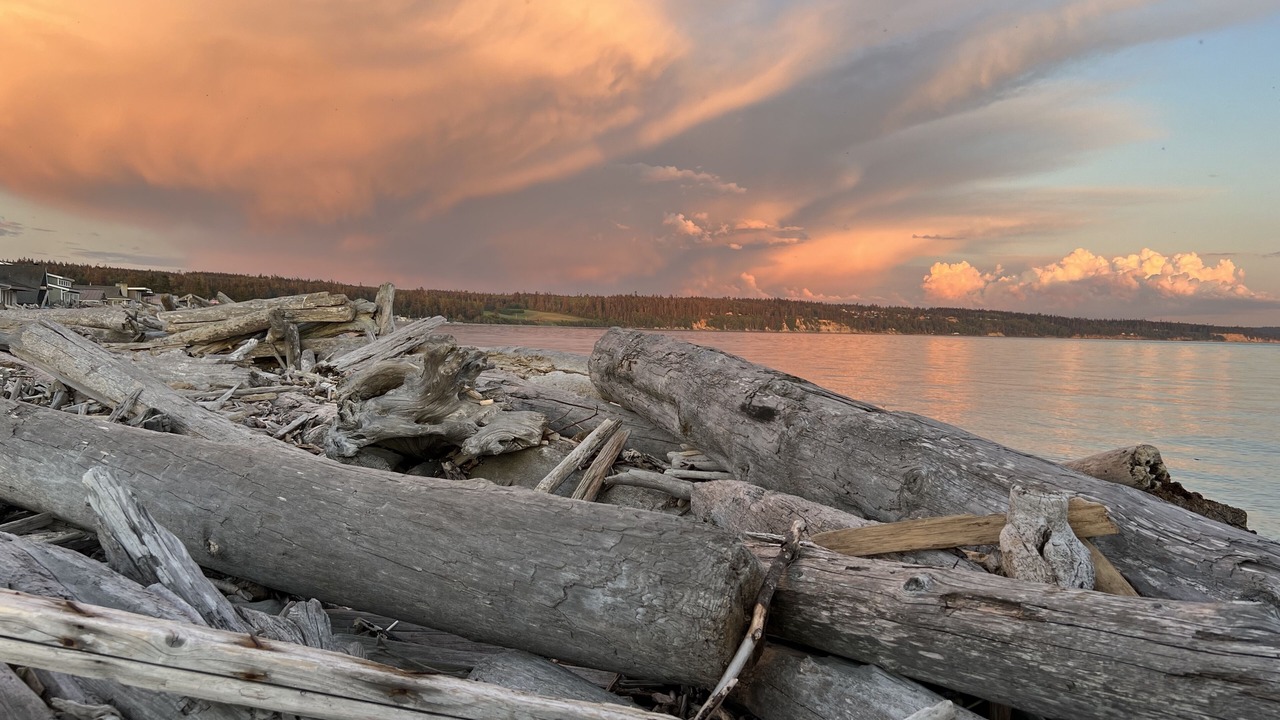 Photo of Outdoor in Coupeville