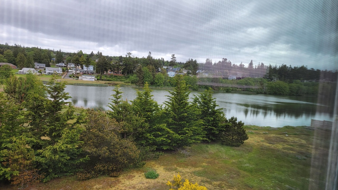 Photo of Others in Coupeville