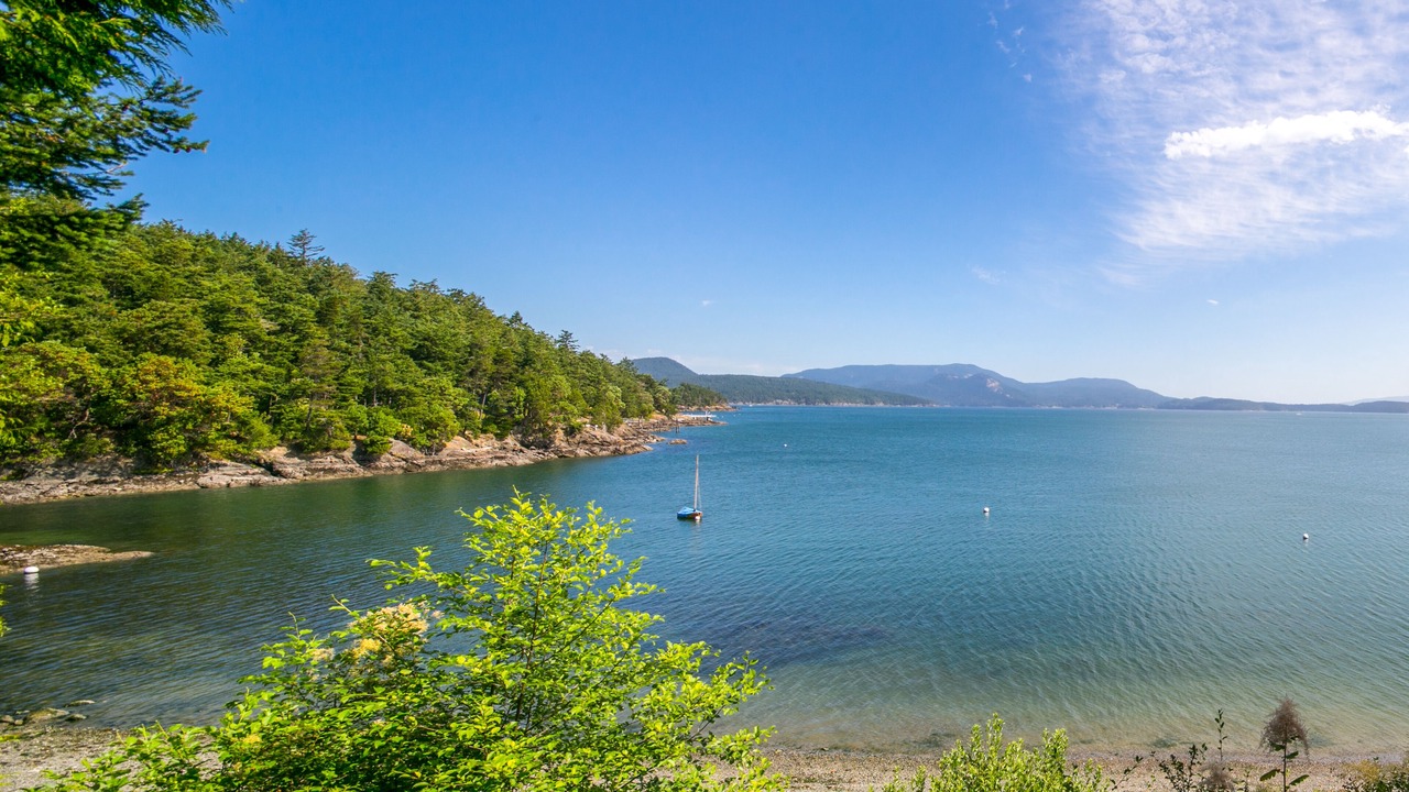 Photo of Others in Lopez Island