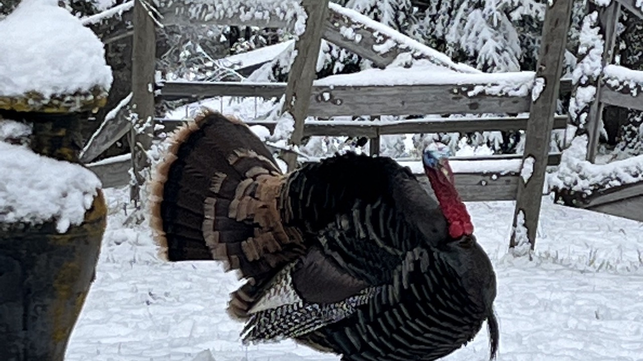 Photo of Outdoor in Coeur d'Alene