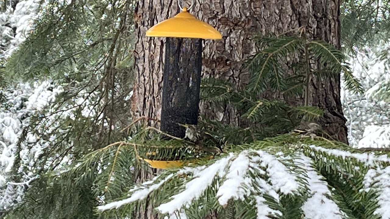 Photo of Outdoor in Coeur d'Alene