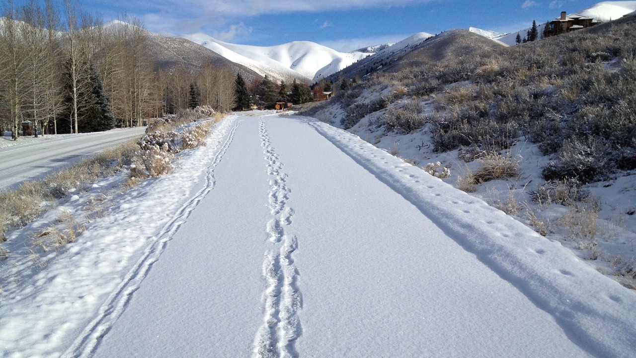 Photo of Others in Elkhorn Village