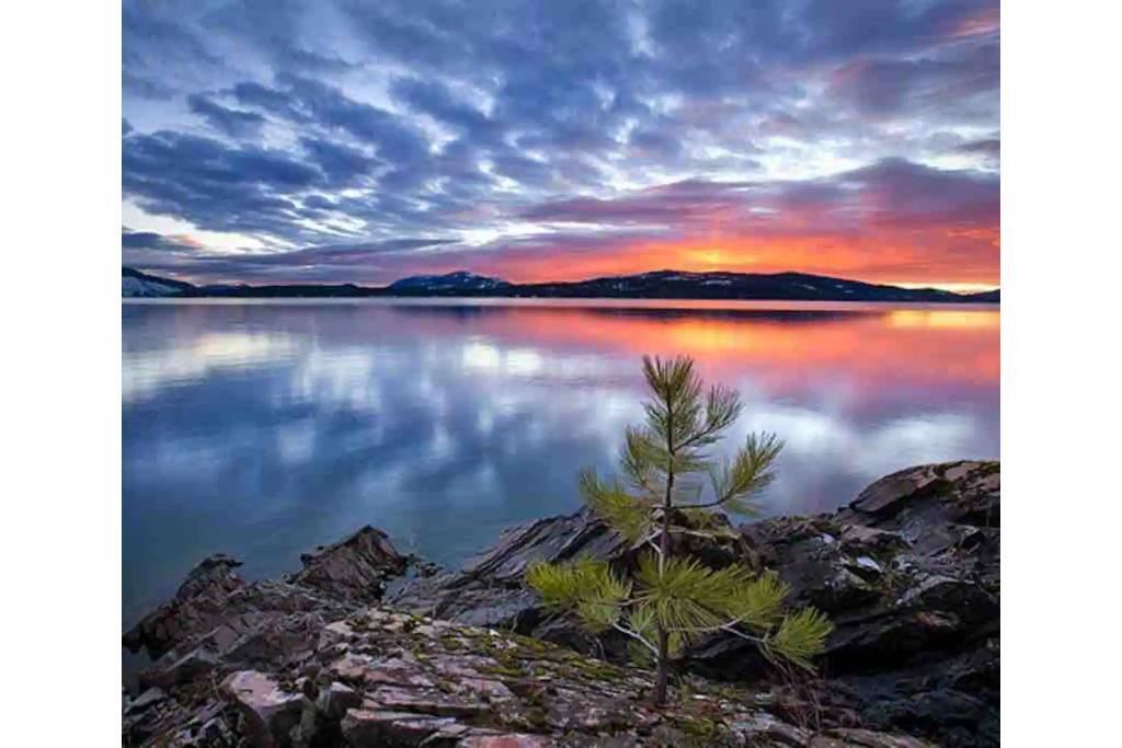 Photo of Others in Sandpoint
