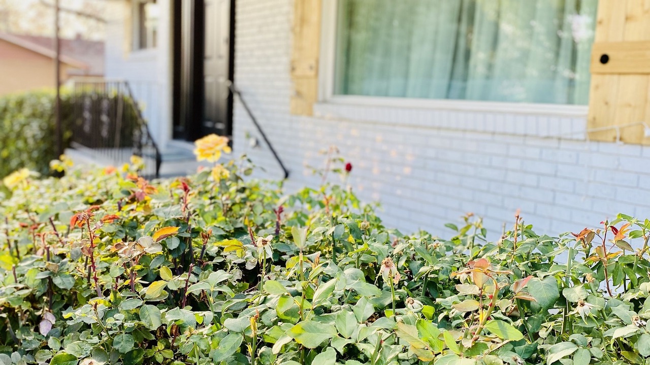Photo of Outdoor in Lakeview